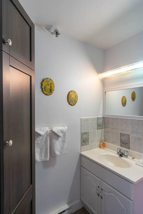 Salle de bain avec vanité blanche, miroir éclairé et armoire de rangement en bois foncé